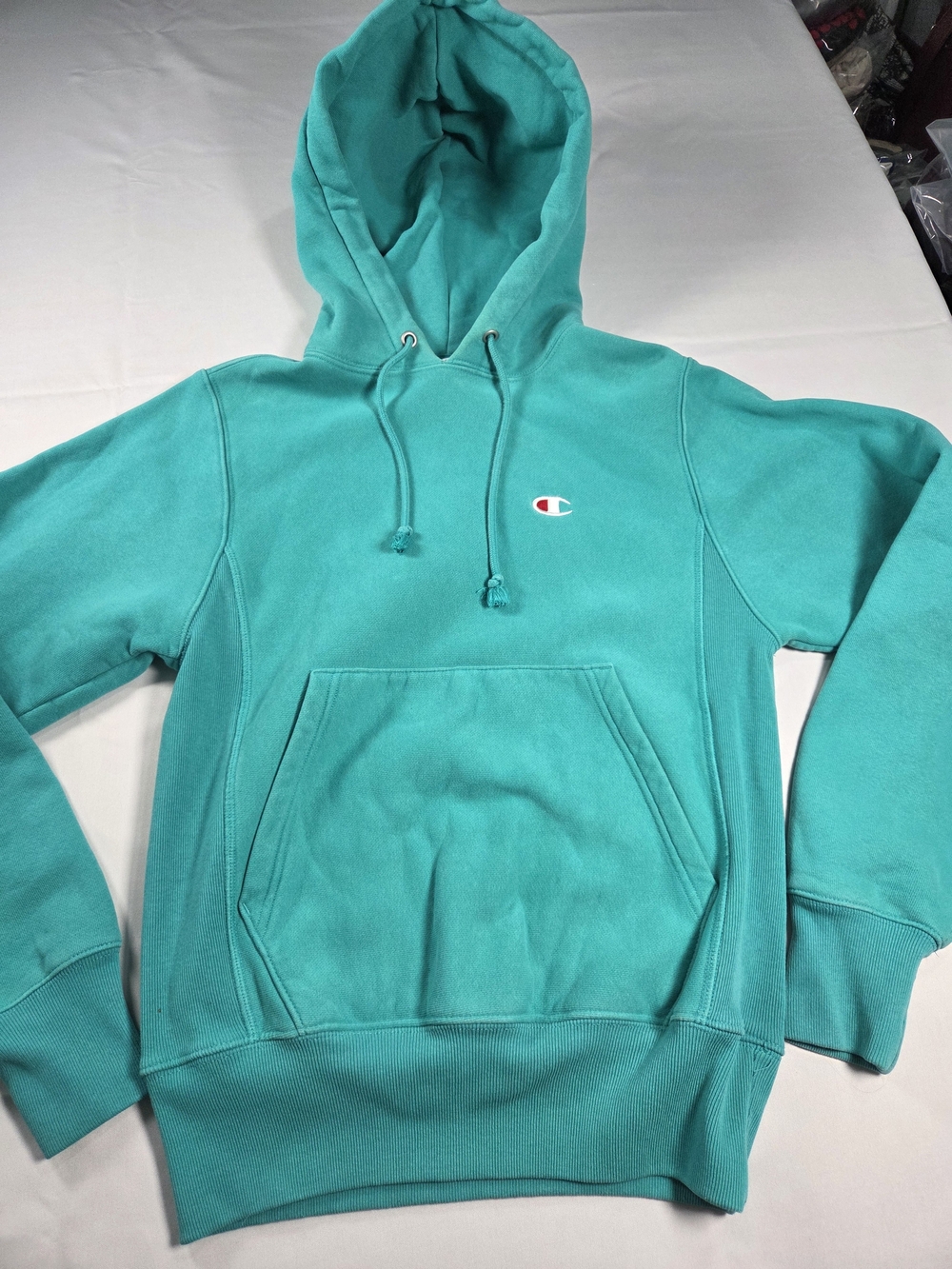 Champion Men's Teal Hooded Sweatshirt